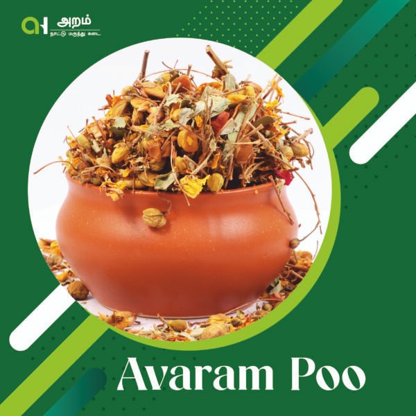Avaram Poo | ஆவாரம் பூ 🌼