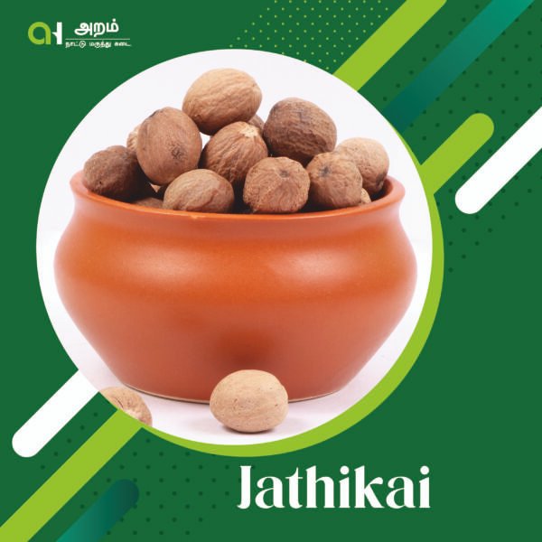 Jathikai | ஜாதிக்காய் 🌰
