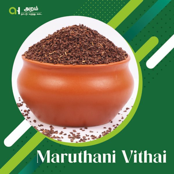 Maruthani Vithai | மருதாணி விதை