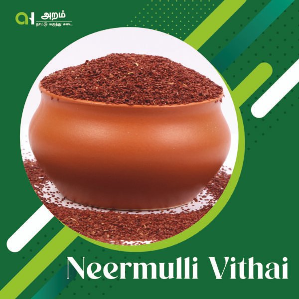 Neermulli Vithai | நீர்முள்ளி விதை 🌿