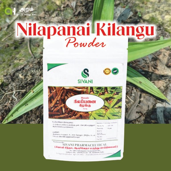 Nilapanai Kilangu Powder | நிலப்பனை கிழங்கு பொடி