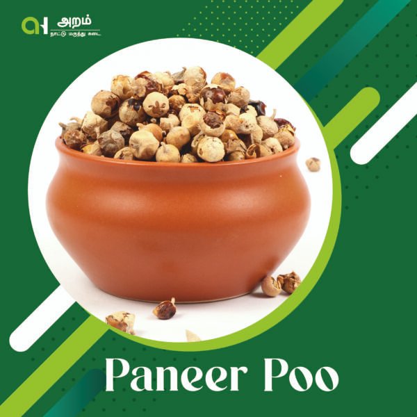 Paneer Poo |  பன்னீர் பூ 🌿