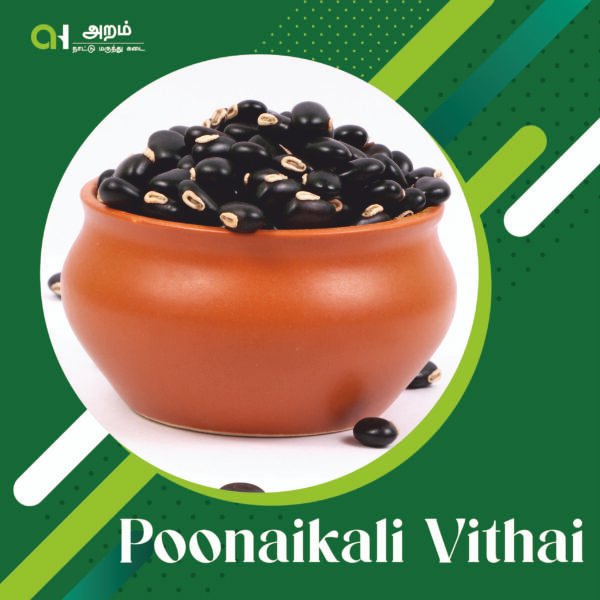 Poonaikali Vithai | பூனைக்காளி விதை