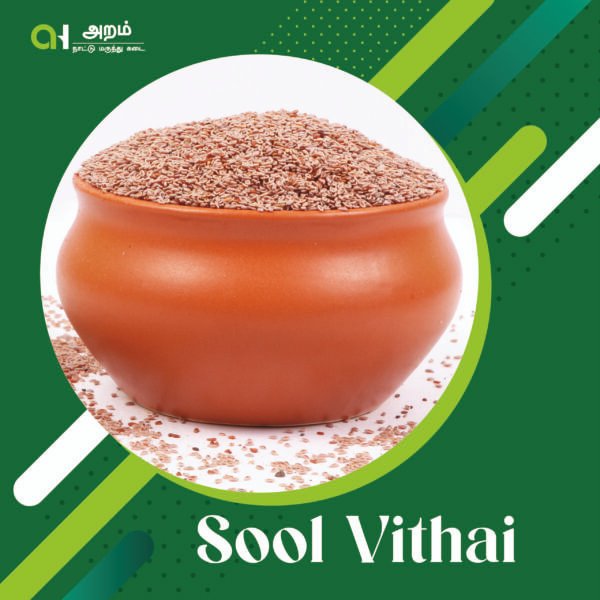 Sool Vithai | சூல் விதை