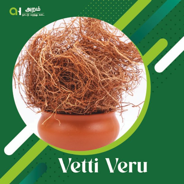 Vetti Veru | வெட்டி வேர் (Khus Root / Vetiver Root)